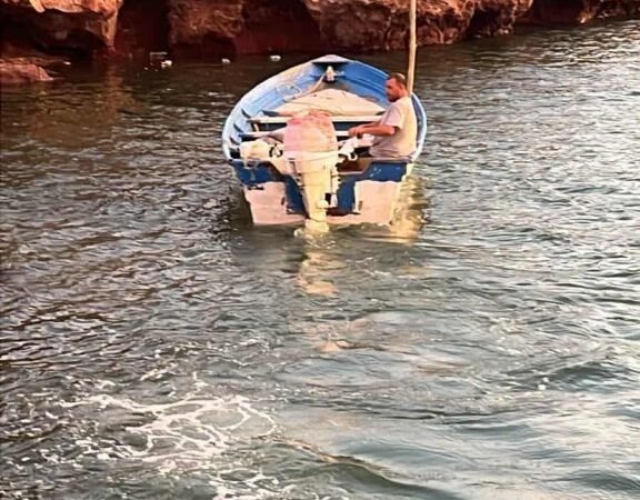 Rescatistas salvan a cinco perritos abandonados en muelle de Guaymas, Sonora Rescatistas salvan a cinco perritos abandonados en muelle de Guaymas, Sonora
