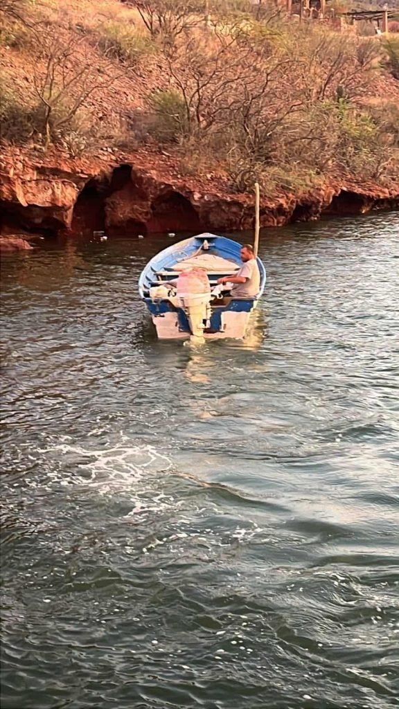 Rescatistas salvan a cinco perritos abandonados en muelle de Guaymas, Sonora