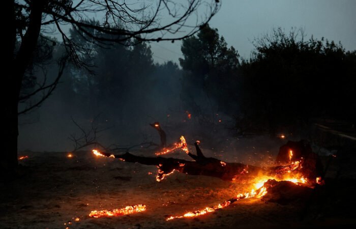 Arrasan incendios en España y Francia más de 120 mil hectáreas; hay 325 mil personas desplazadas